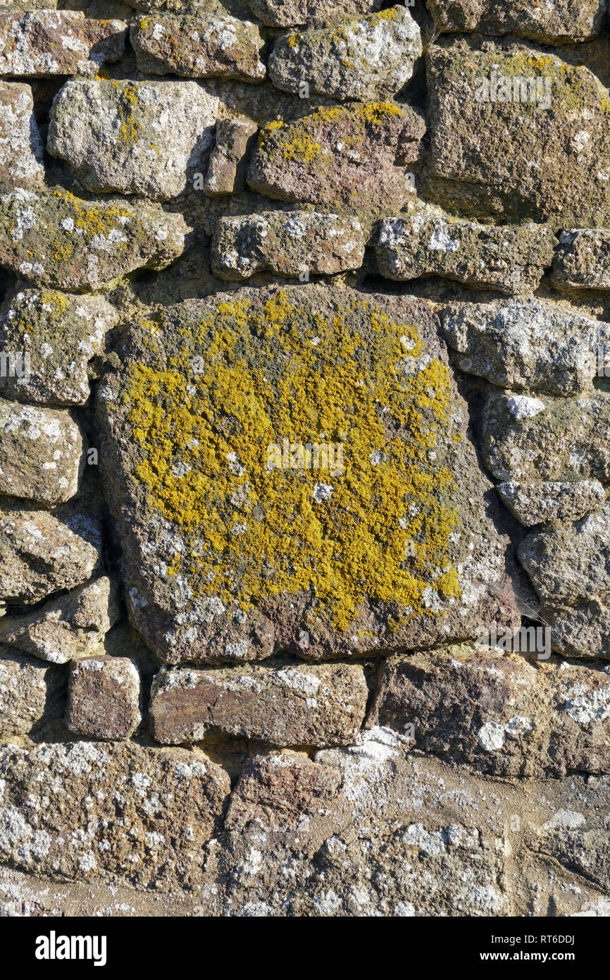 Il vecchio muro di granito di un edificio di una vecchia fattoria (Nord Mayenne, Pays de la Loire, Francia). Foto Stock