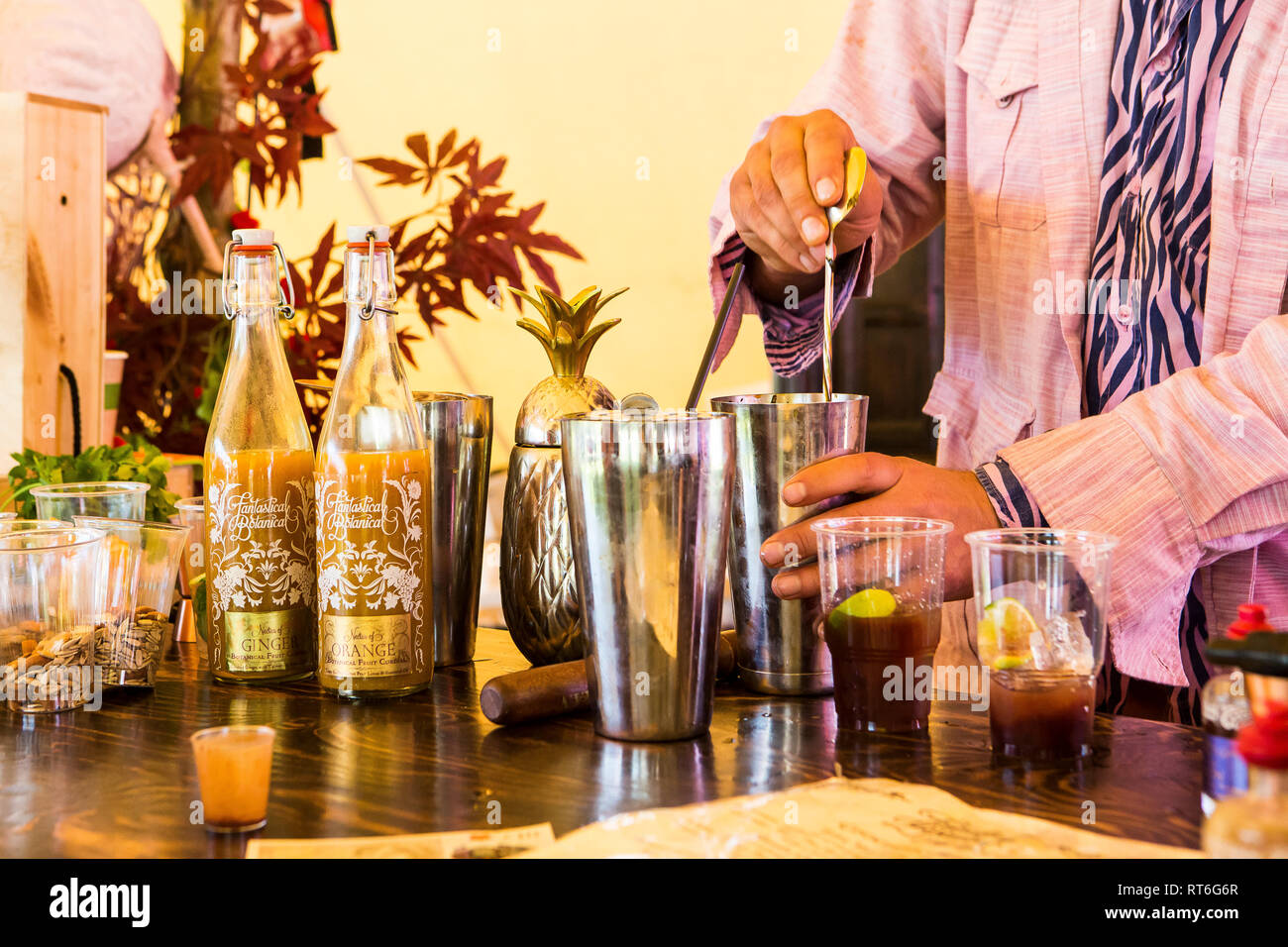 Fantastici prodotti botanici alcol free festival bar a Beltane Fire Festival, Sussex, Regno Unito Foto Stock