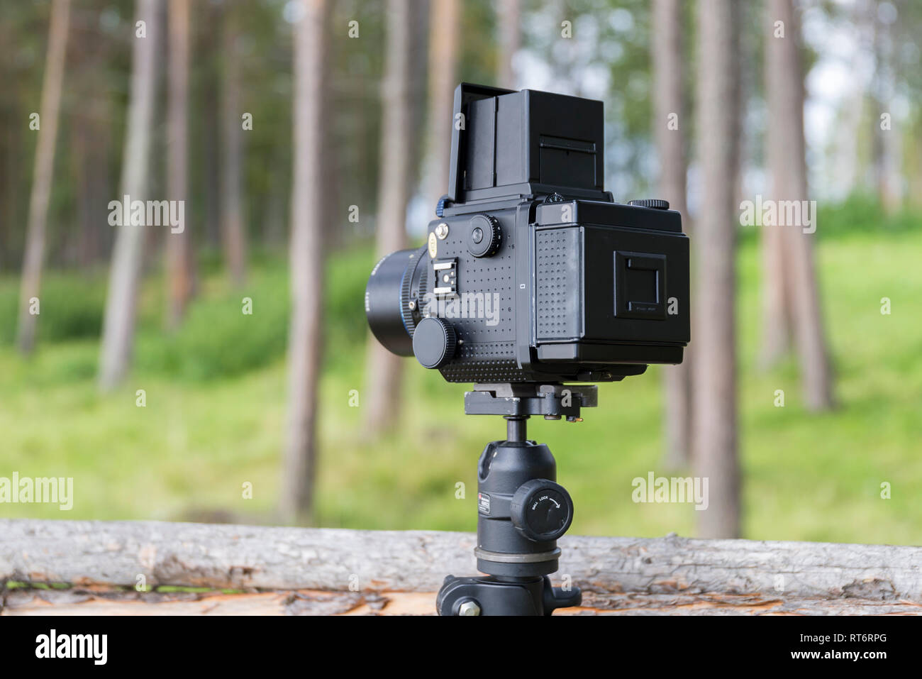 Mamiya RZ67 medio formato fotocamera a pellicola Foto Stock