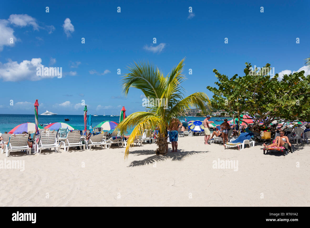 Tropical Beach, Grand Anse Bay, Saint George parrocchia, Grenada, Piccole Antille, dei Caraibi Foto Stock