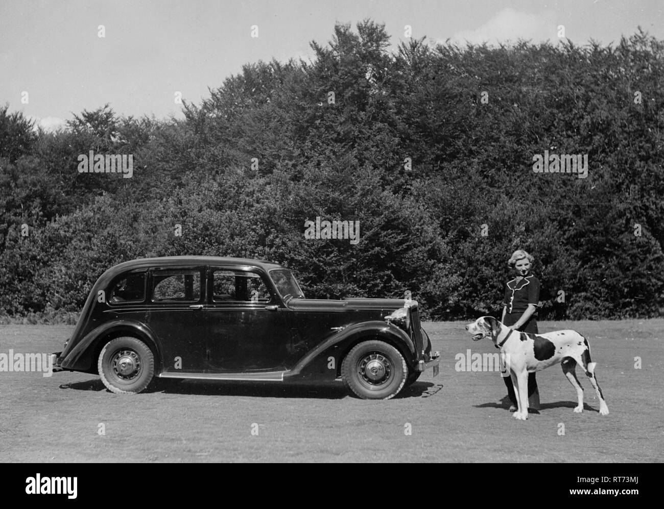 1938 Daimler DB18 . Signora con cane Foto Stock