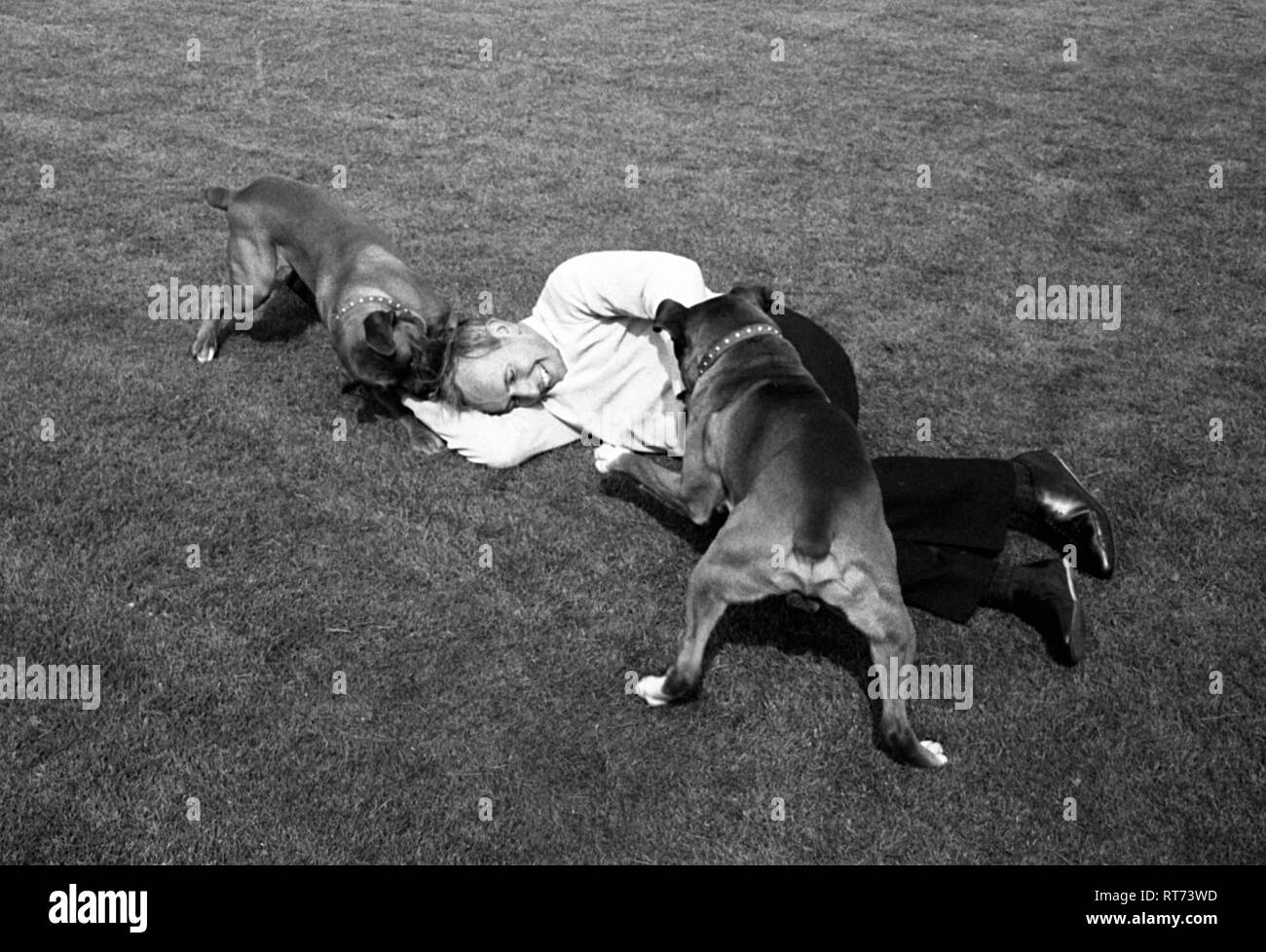 John Surtees con il suo pet cani Boxer 1966 Foto Stock