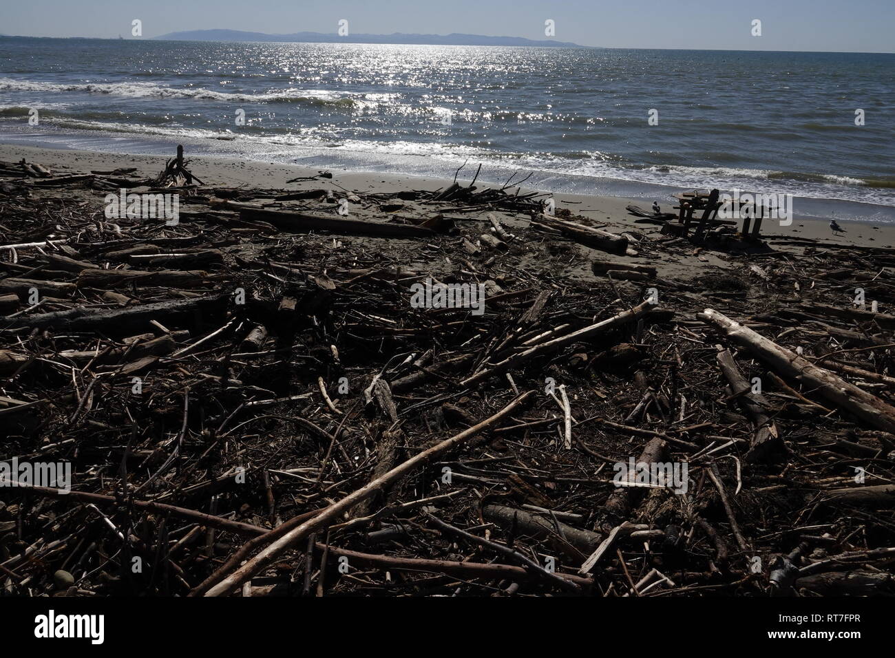 Capitola, California, Stati Uniti d'America 28 Febbraio 2019 - Driftwood e detriti vari lavato fino sulla spiaggia città dopo l'ampia tempeste che hanno colpito la California questa settimana. Credito: Motofoto/Alamy Live News Foto Stock