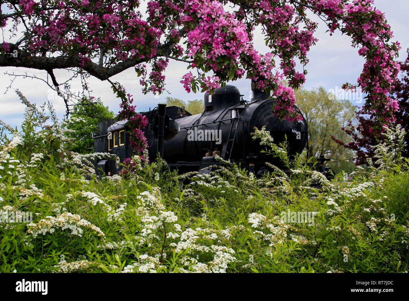 Il vecchio motore a vapore in treno in Svezia Foto Stock