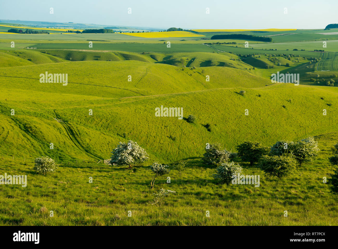 Erosione naturale ,Wiltshire Foto Stock