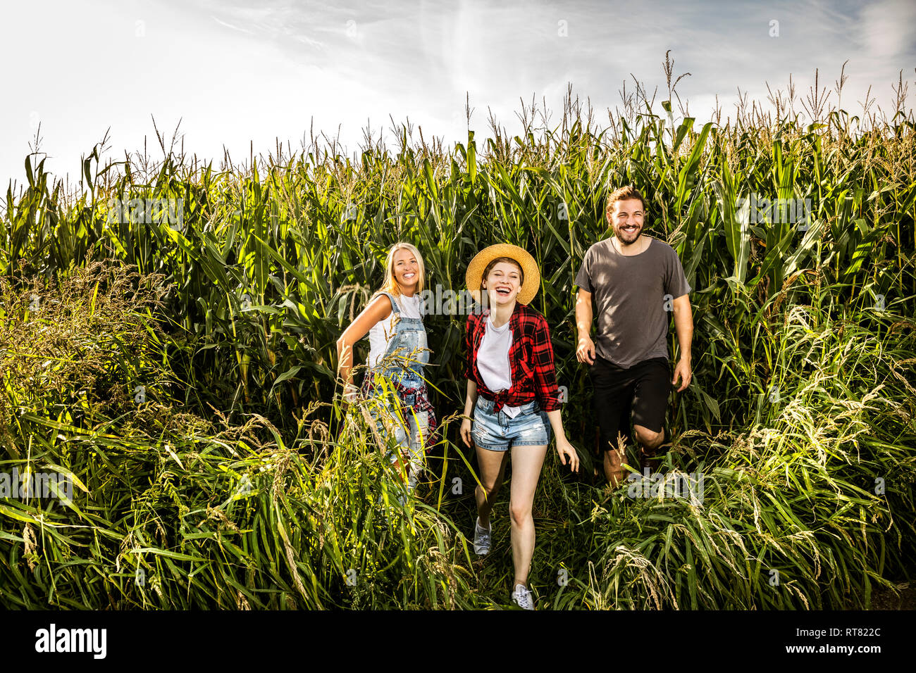 Happy amici in un cornfield Foto Stock