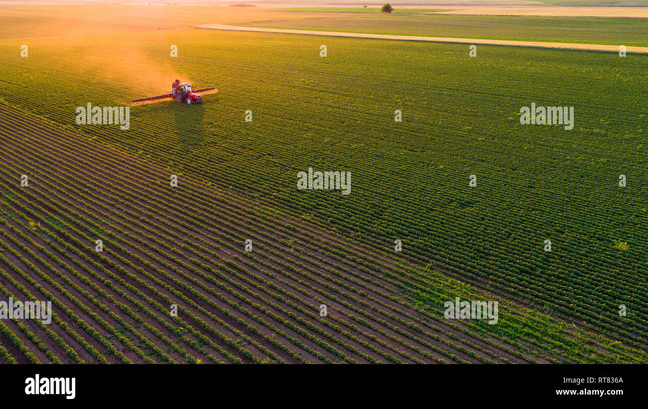 La Serbia, Vojvodina, vista aerea di un trattore di irrorazione delle colture di soia Foto Stock