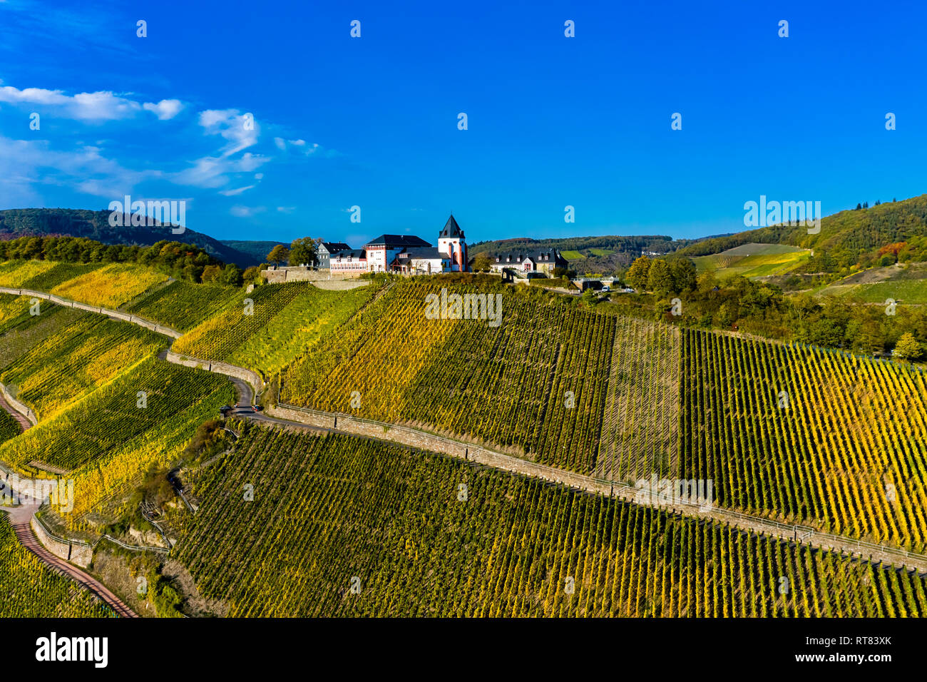 In Germania, in Renania Palatinato, vigneti e Marienburg vicino Puenderich Foto Stock