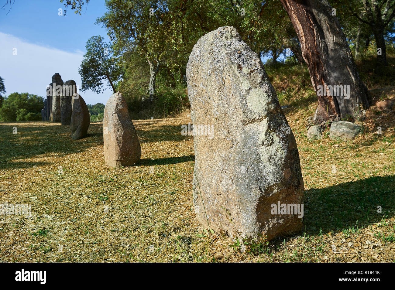 Foto e immagini di età preistorica età del rame proto antropomorfe in pietra permanente statua menhir nel Biru 'e Concas archaeolological sito, Sorgono, Foto Stock