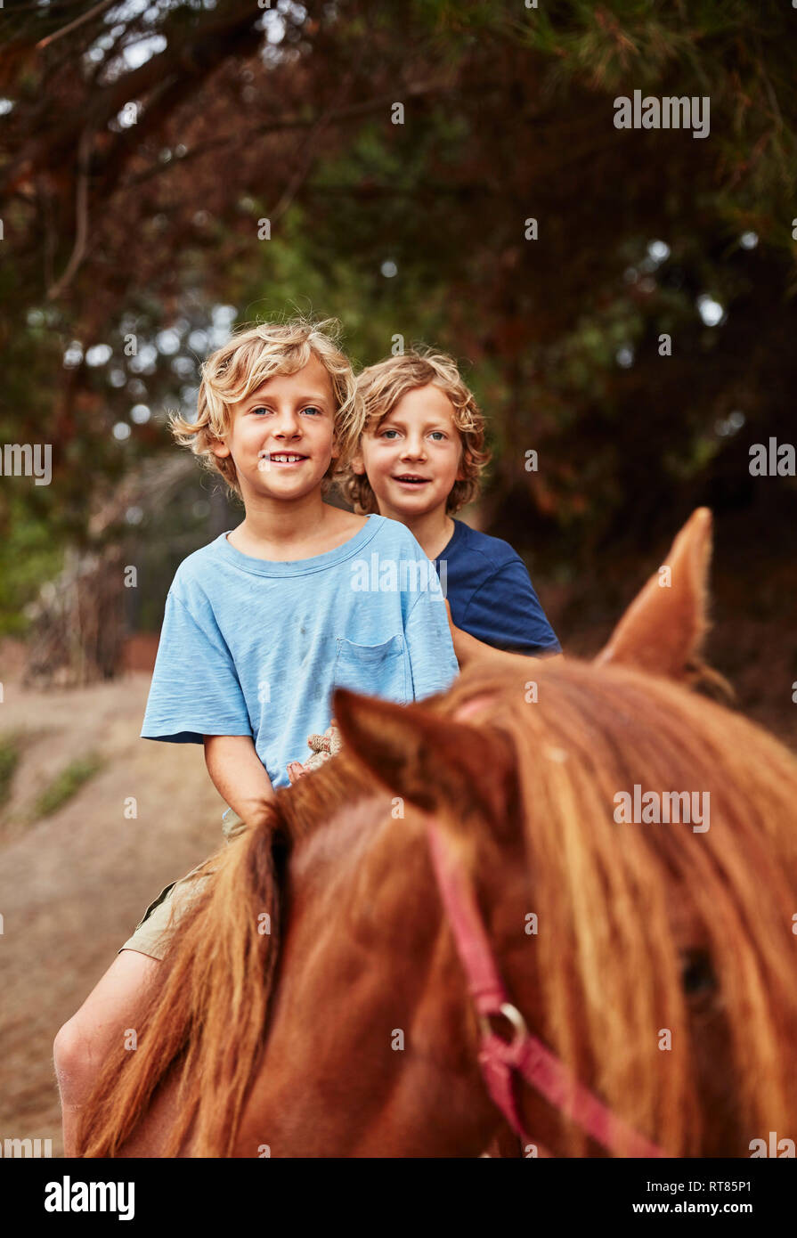 Ritratto di due ragazzi di felice sul cavallo in una foresta Foto Stock