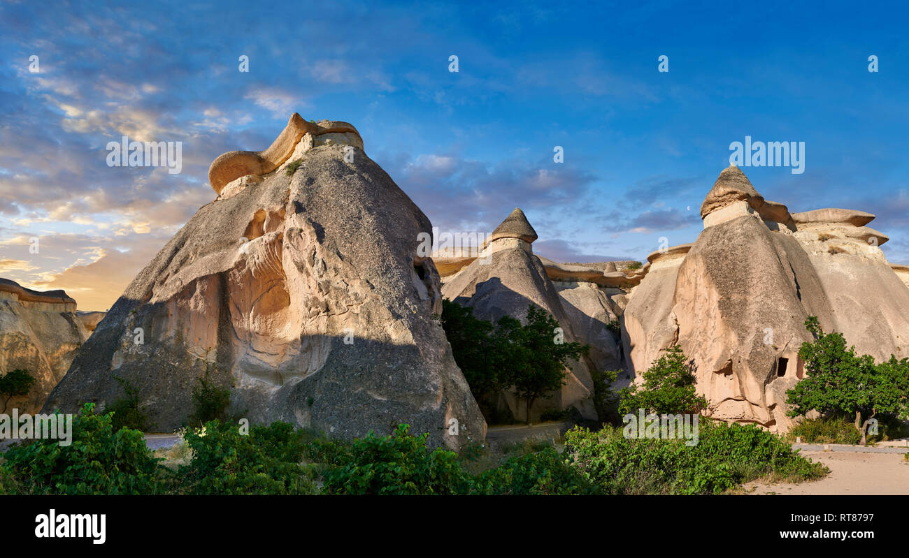 Foto e immagini della fata camino formazioni rocciose e pilastri di roccia di "Pasaba Valle" nei pressi di Goreme, Cappadocia, Nevsehir, Turchia Foto Stock