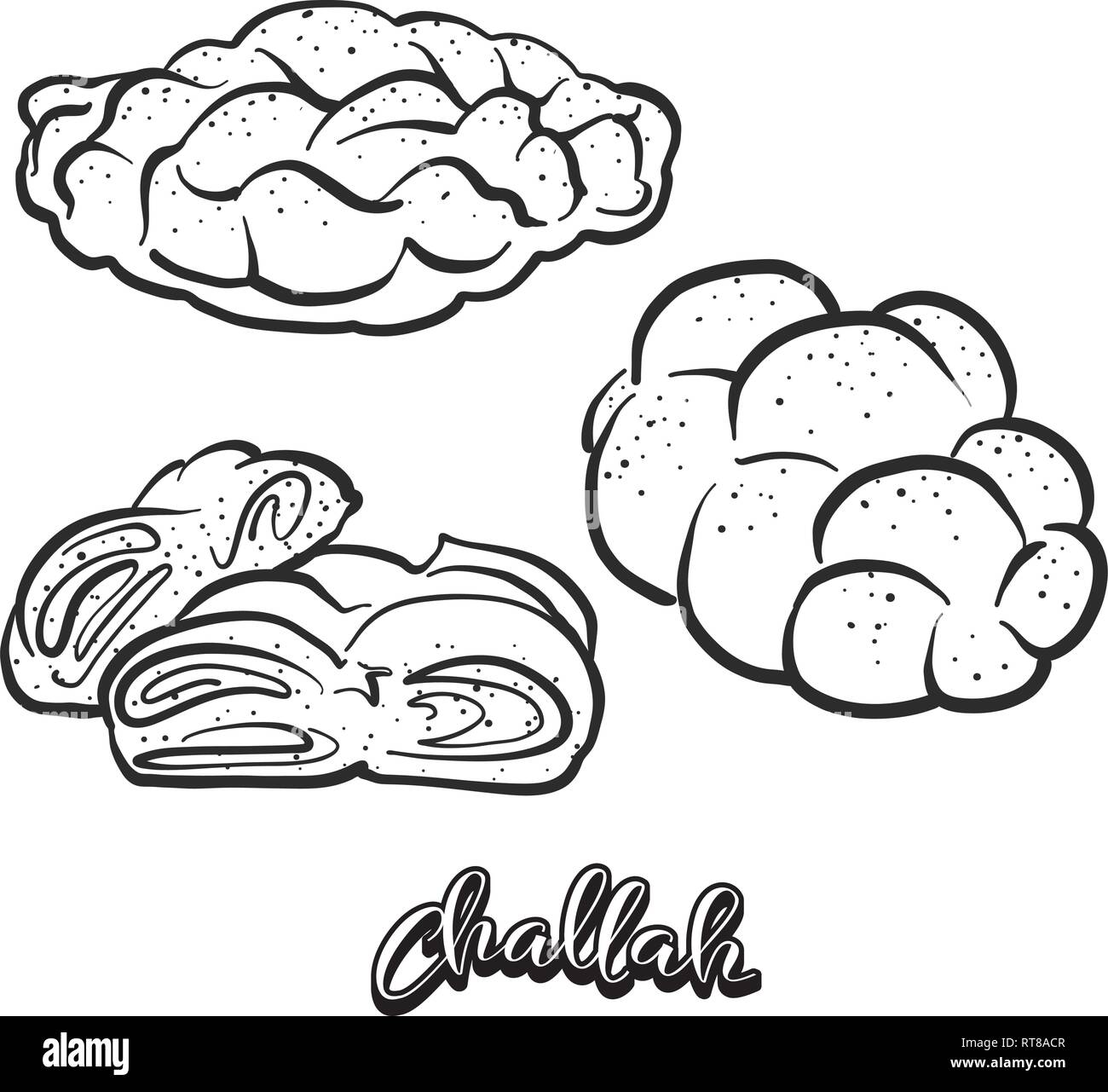 Mano bozzetto di Challah pane. Vettore di disegno di cibo lievitato, usualmente noto in Polonia e in Israele. Illustrazione di pane serie. Illustrazione Vettoriale