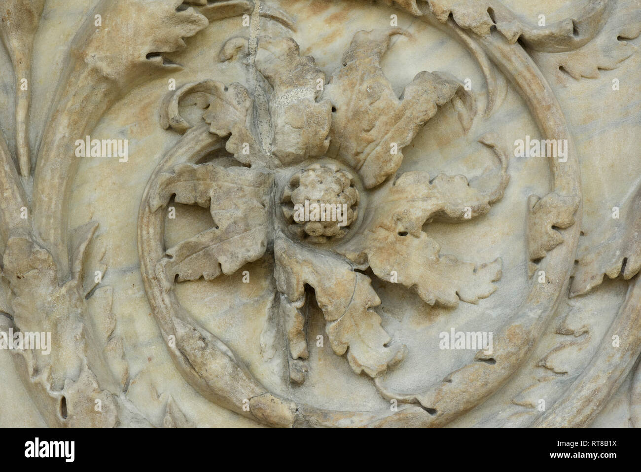 Roma. L'Italia. L'Ara Pacis Augustae, Museo dell'Ara Pacis. Dettaglio del decoro esterno rilievi raffiguranti scorre acanto. Foto Stock