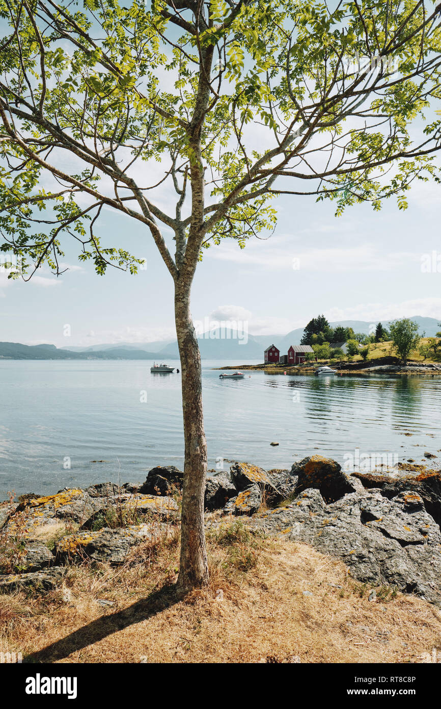 La piccola isola di Omaholmen su una bella giornata d'estate in Hardangerfjord Hordaland, Norvegia. Foto Stock