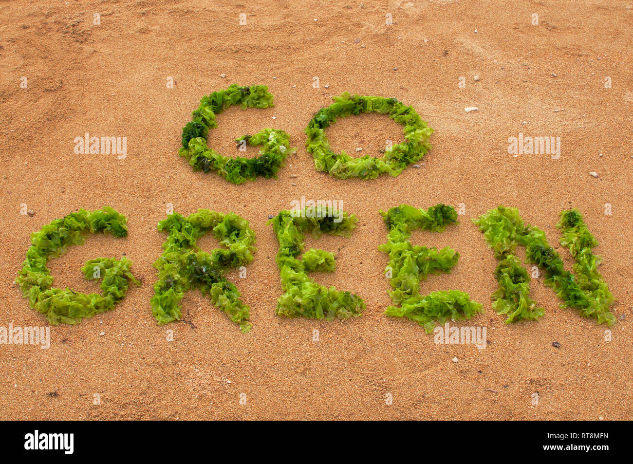 "Go Green" testo realizzato con verde alghe di mare sulla spiaggia di Sanur in Bali, Indonesia in una giornata di sole Foto Stock