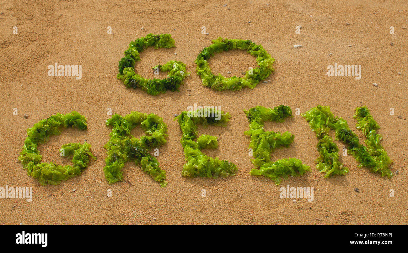 "Go Green" testo realizzato con verde alghe di mare sulla spiaggia di Sanur in Bali, Indonesia in una giornata di sole Foto Stock