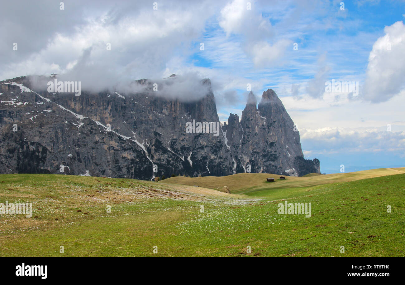 Piccolo percorso sui campi di montagna a Alpe di Siusi Alto Adige Foto Stock