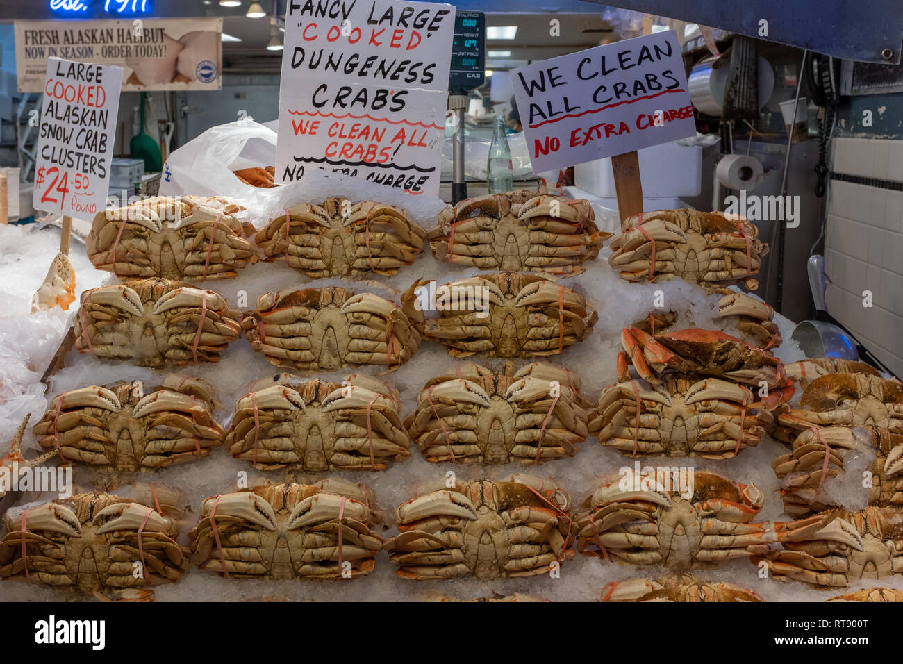 Un mercato di vendita di stallo di Dungeness fresca intera granchi, i granchi di grandi dimensioni hanno legami rosa intorno gli artigli e sono su un letto di ghiaccio Foto Stock