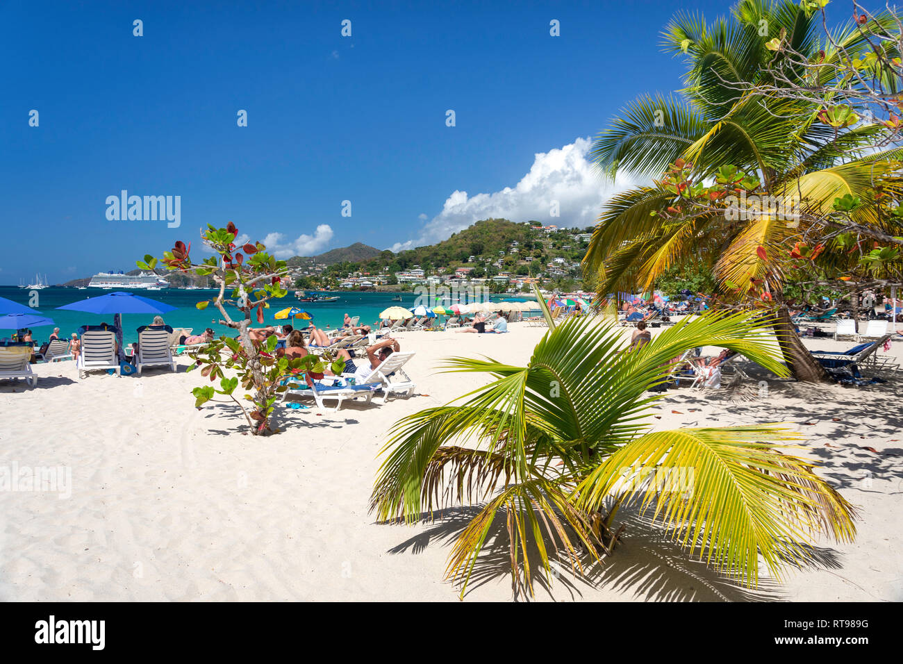 Tropical Beach, Grand Anse Bay, Saint George parrocchia, Grenada, Piccole Antille, dei Caraibi Foto Stock