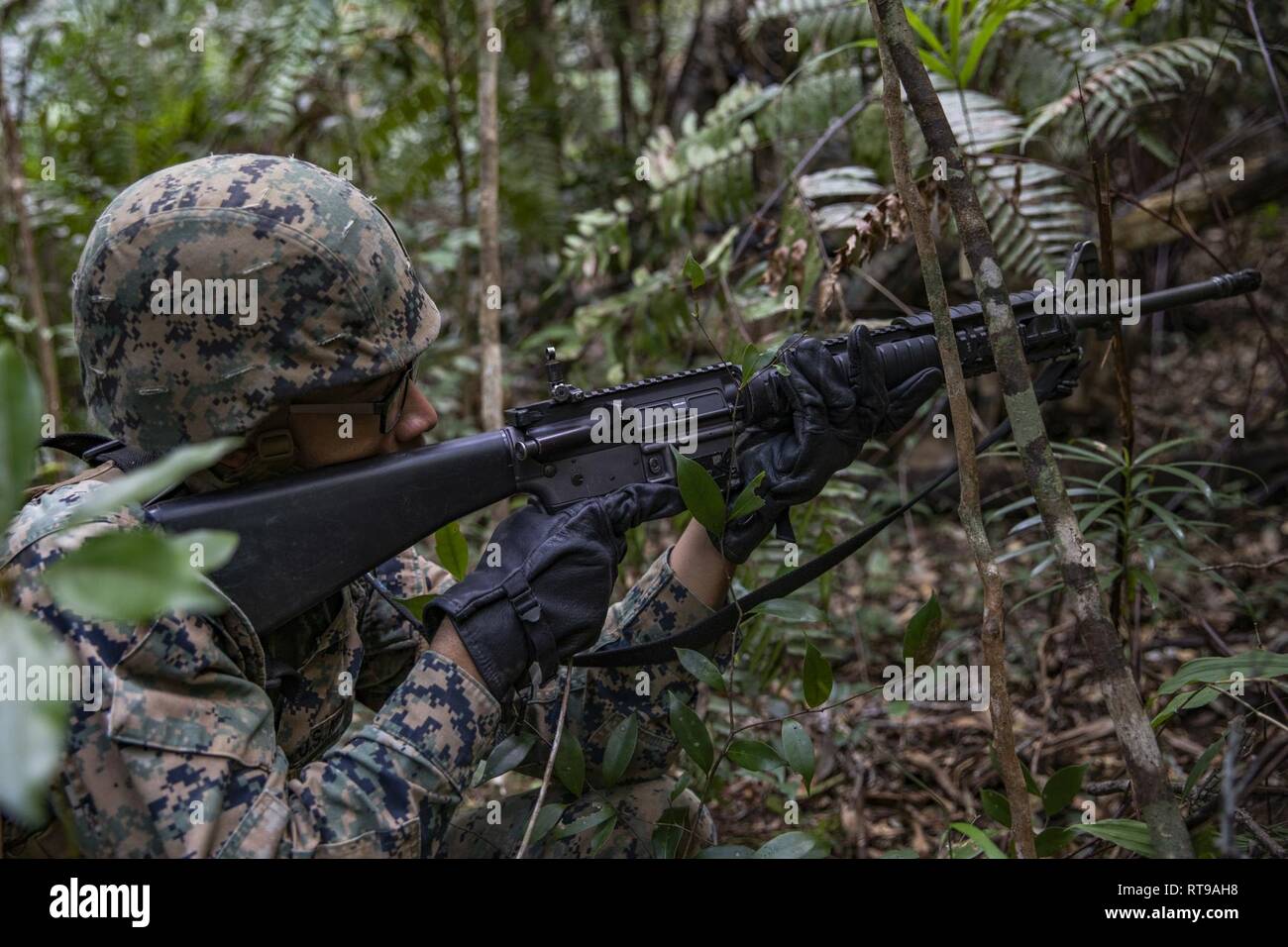 Cpl. Curtis T. Brown Jr. attrazioni di su un nemico patrol Gen 30, 2019, alla guerra nella giungla del Centro di formazione, Camp Gonsalves, Okinawa, in Giappone. JWTC Marines insegna le abilità di sopravvivenza per la giungla di scenari di combattimento, piccola unità leadership, e costruisce la coesione dell'unità. Brown, un amministratore di rete con il collegamento in rete del plotone, Communications Company, combattere la logistica reggimento 37, terzo Marine Logistics Group, è un nativo di Washington D.C. Foto Stock