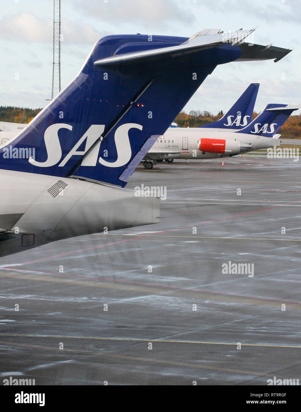 Pinna Codato per velivoli SAS sulla fila all'aeroporto di Arlanda Stoccolma Svezia Foto Stock
