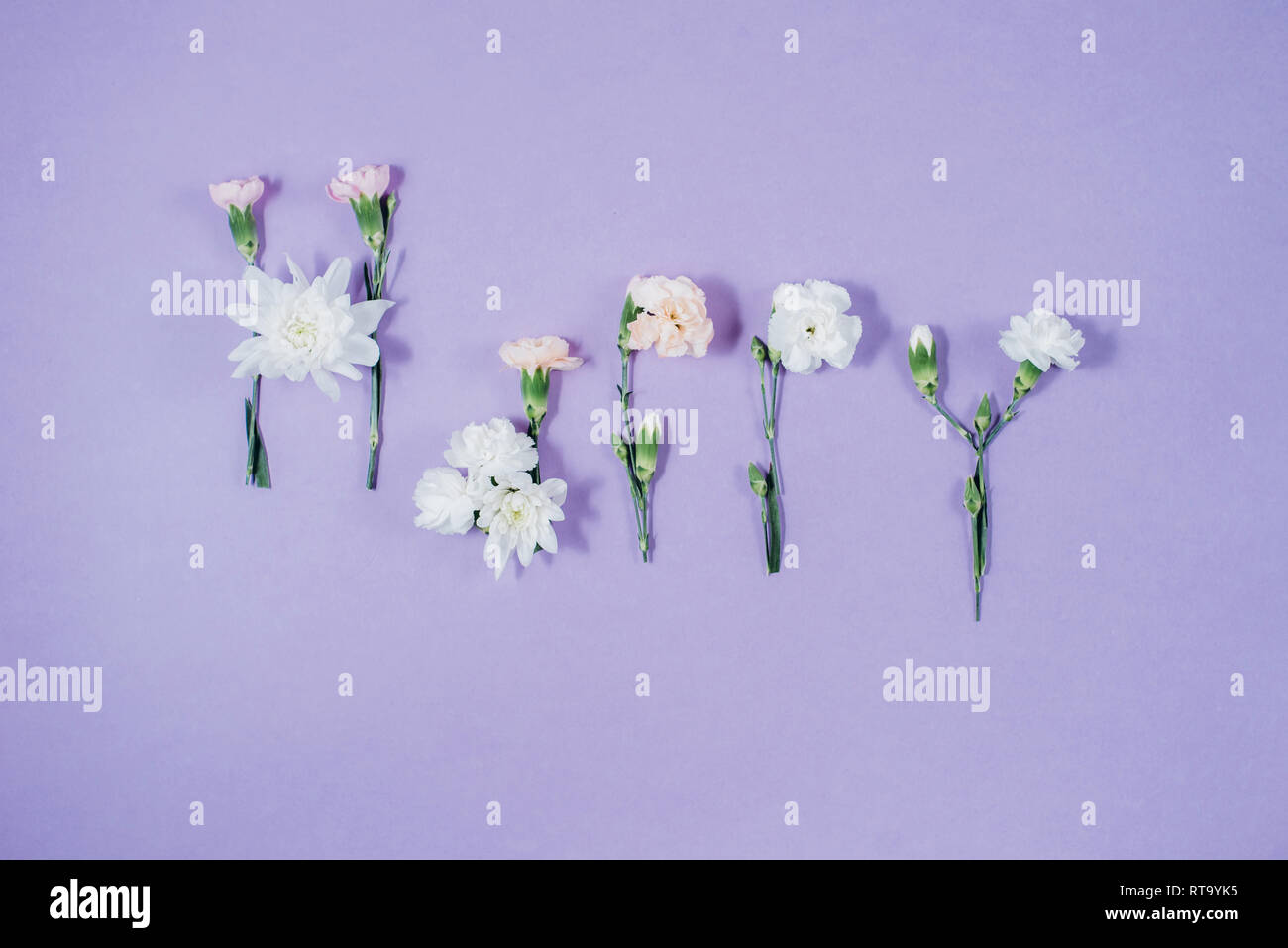 La parola 'felice' fatta di fiori di primavera su sfondo viola. Bella composizione creativa con fiori di colore bianco. La primavera e l'estate concetto. Piatto, laici top Foto Stock