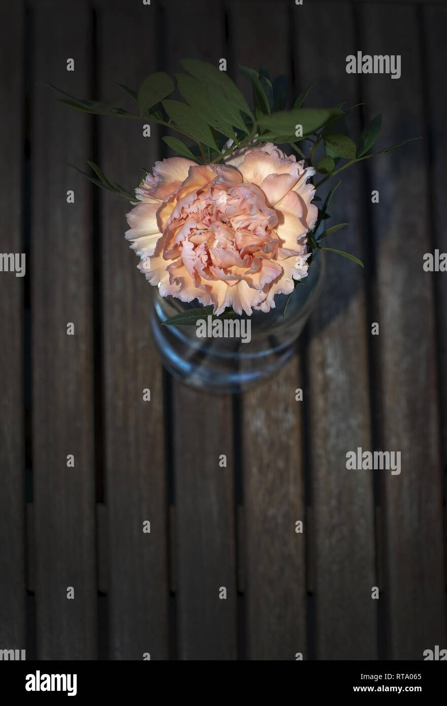 Rosa fiori di garofano con foglie verdi in vaso di vetro per interni in legno marrone Tavolo da giardino con spazio di copia Foto Stock