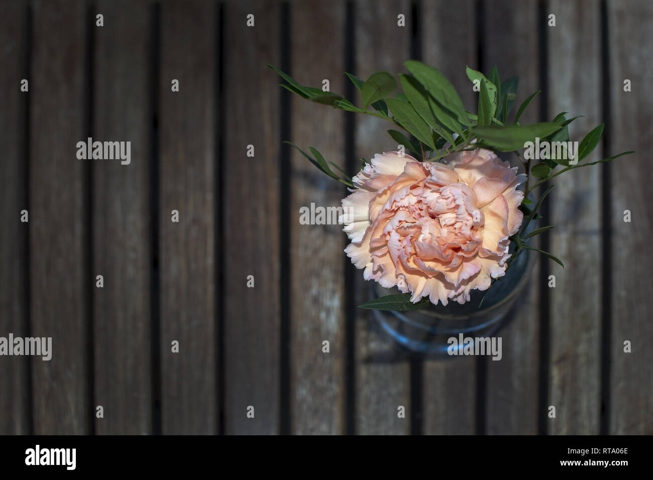 Rosa fiori di garofano con foglie verdi in vaso di vetro per interni in legno marrone Tavolo da giardino con spazio di copia Foto Stock