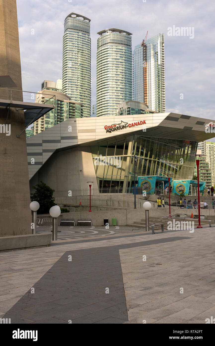 TORONTO, Ontario, Canada - 25 giugno 2018: Ripley s Acquario è una popolare attrazione per tutti i gruppi di età e la presenta a contenere più di 20.000 s esotiche Foto Stock