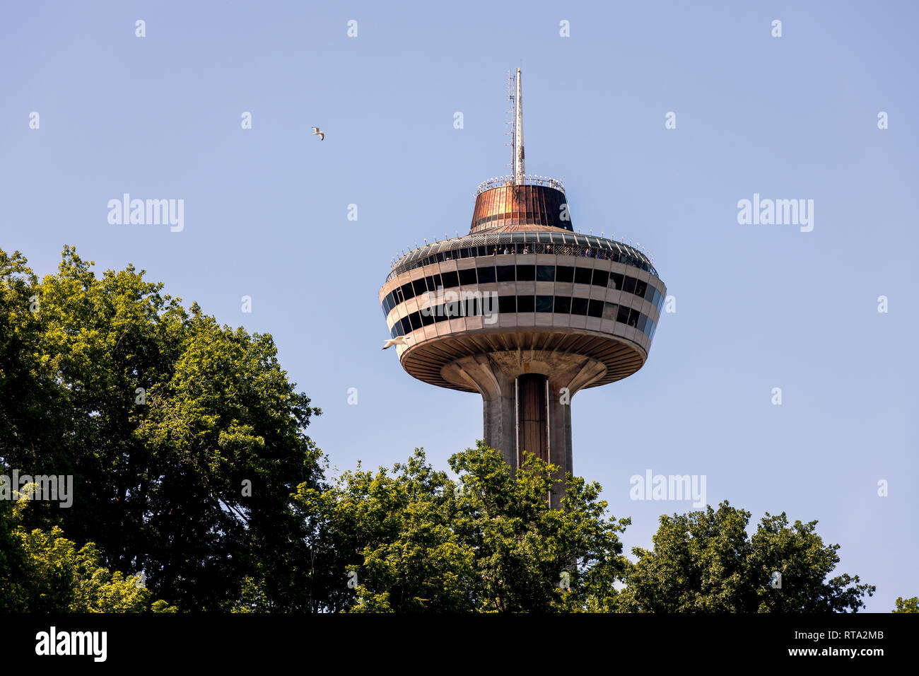 NIAGARA Falls, Ontario, Canada - 25 giugno 2018: la Torre Skylon visto attraverso i rami degli alberi Foto Stock