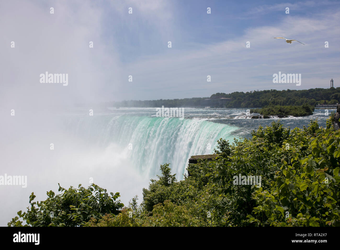 Sulla parte superiore delle Cascate del Niagara. La spettacolare Cascata Horseshoe che giace sulla frontiera degli Stati Uniti e del Canada Foto Stock