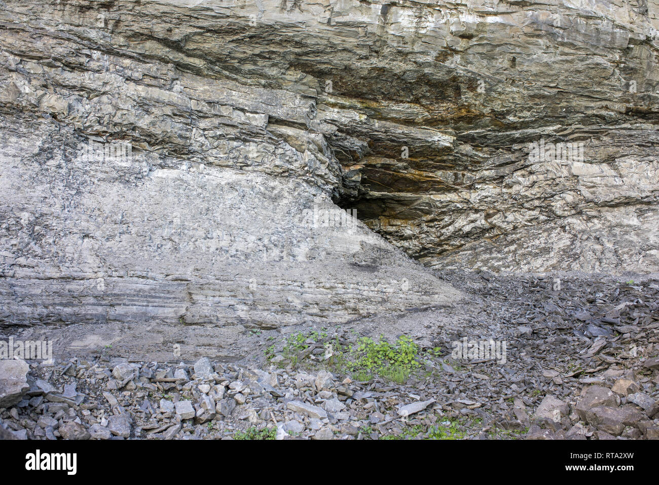 Strati di roccia verso la Cascata Horseshoe. Il distretto di Niagara depositi sedimentari includono: arenaria, Marina di scisti e calcari Foto Stock