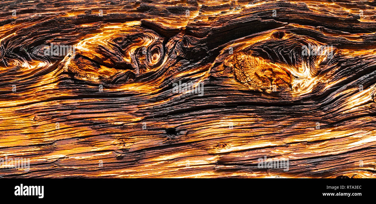 Close-up di un vecchio, fortemente textured tavolato in legno con struttura deformata, bruciato e superficie knotholes Foto Stock