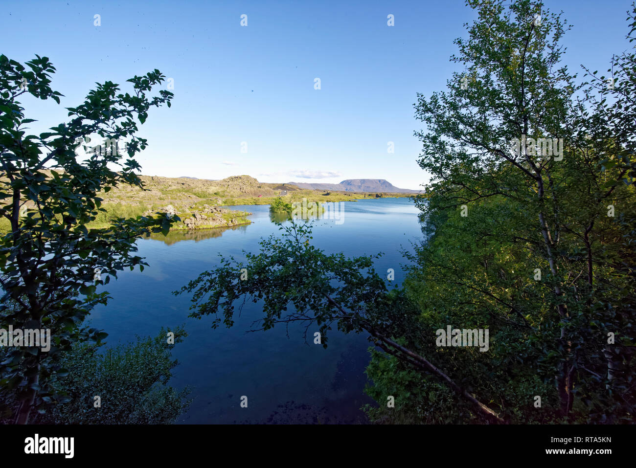 Formazioni di roccia vulcanica da tubi di lava a Dimmuborgir sul Lago Myvatn, Islanda Foto Stock