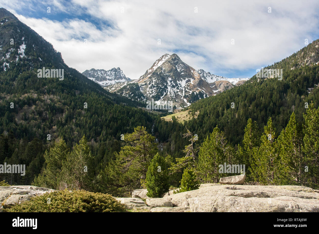 Alta foresta alpina valle. Picco di montagna sui Pirenei. Sant Maurici Parco Nazionale dei Pirenei Foto Stock