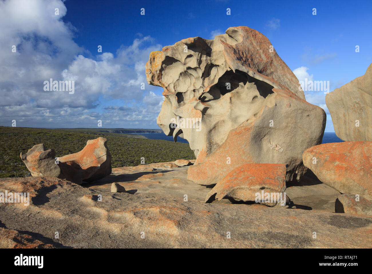 Remarkable Rocks, nella parte meridionale del Parco Nazionale di Flinders Chase Foto Stock