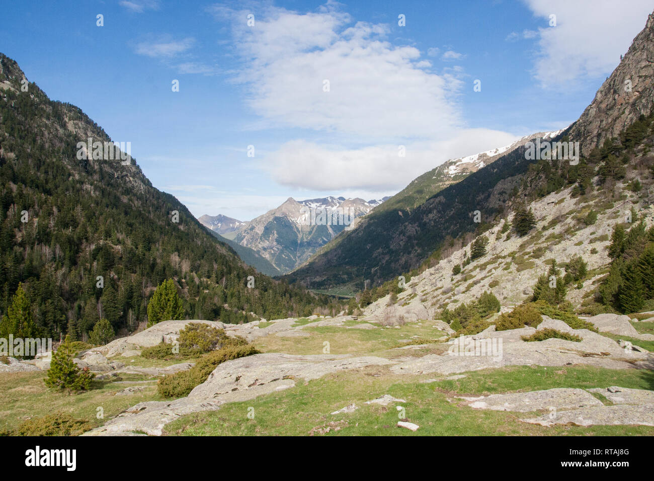Alta foresta alpina valle. Picco di montagna sui Pirenei. Sant Maurici Parco Nazionale dei Pirenei Foto Stock
