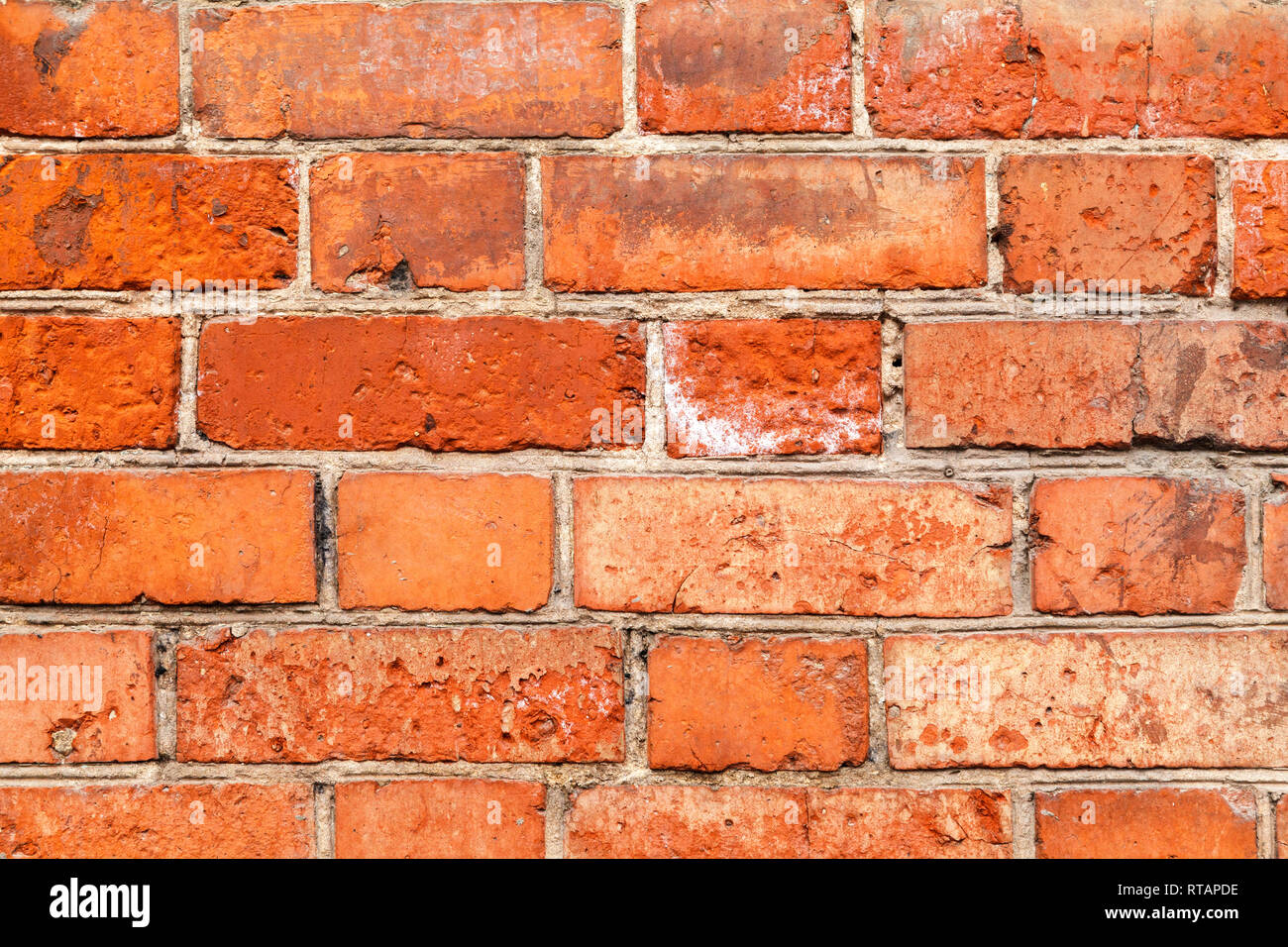 Vecchio rosso mattone parete irregolare dello sfondo. Primo piano di un vecchio esterno muro di mattoni, grunge background. Foto Stock