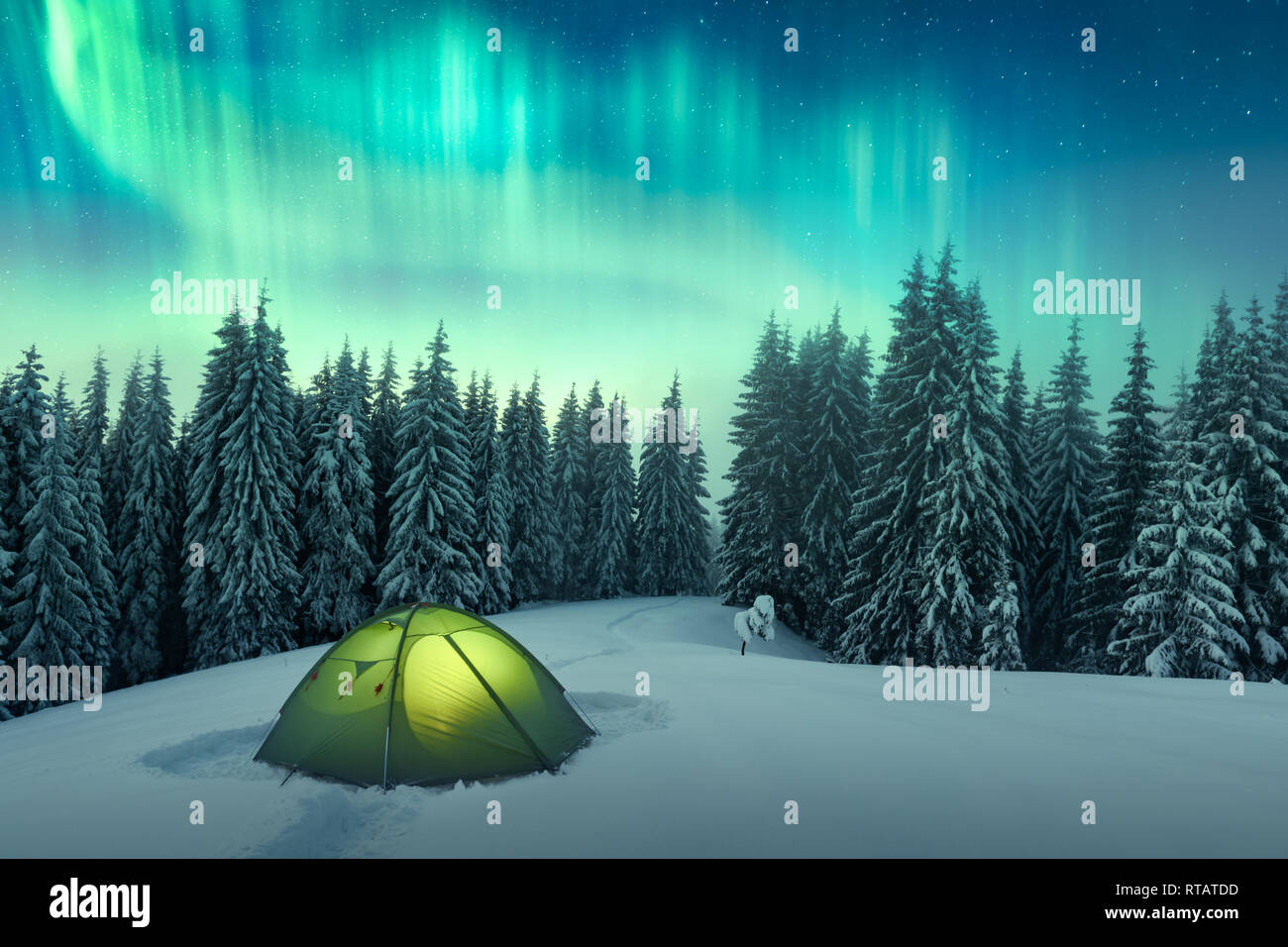 Aurora Boreale. Luci del nord in inverno foresta. Cielo polare con luci e stelle. Notte paesaggio invernale con aurora, tenda verde e la foresta di pini. Concetto di viaggio Foto Stock
