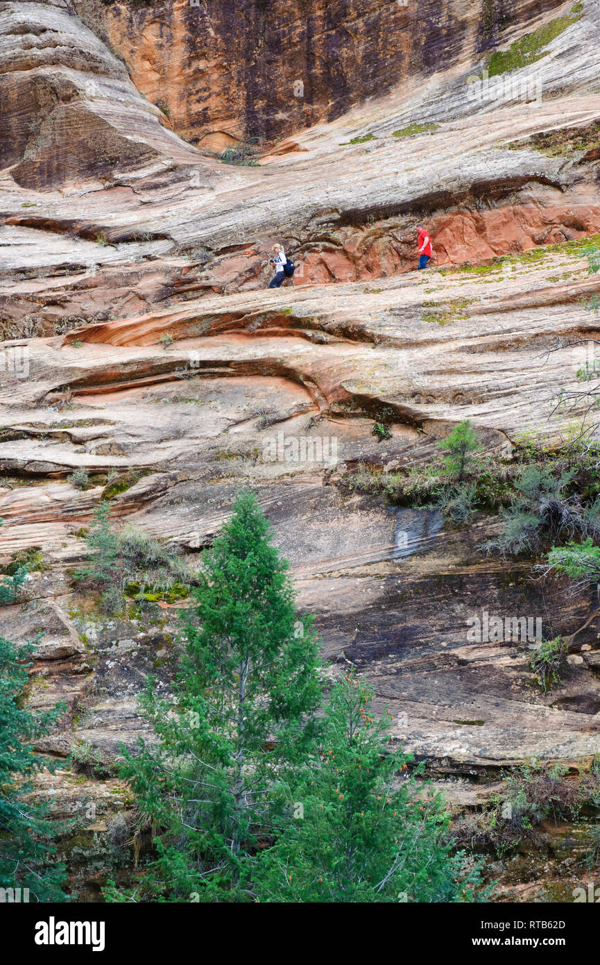 Donna e uomo escursionismo su una parte nascosta del Canyon Trail tagliato su una rupe di arenaria, Parco Nazionale Zion, Utah, Stati Uniti d'America. Foto Stock