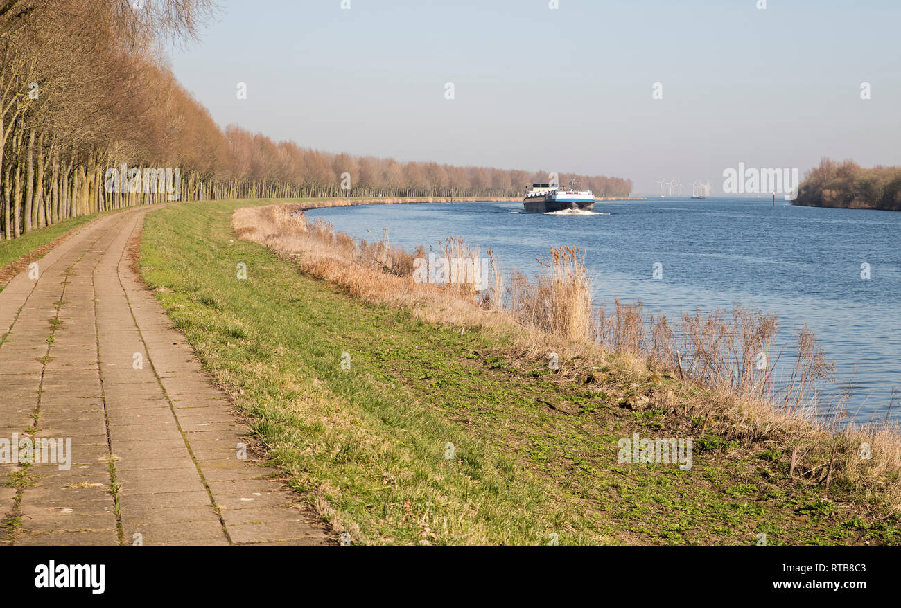 Nave da carico il trasporto in Olanda sulla Schelde rijn canal nella zona dello Zeeland con mulini a vento come sfondo Foto Stock