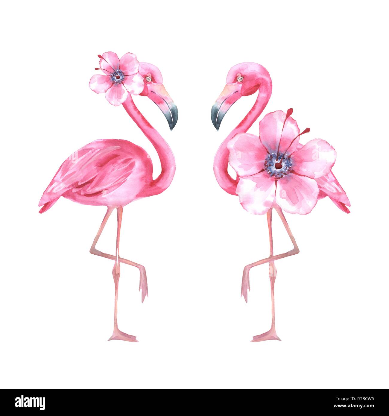 Flamingo watercolor immagini e fotografie stock ad alta risoluzione - Alamy