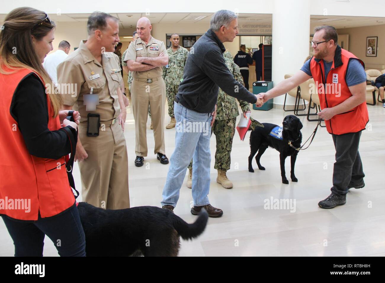 Assistente del segretario della Marina (manodopera e gli affari di riserva) Gregory J. slavo (centro) scuote le mani con Garry Scheel, una croce rossa americana Napoli volontario. Scheel e il suo cane, Comandante Lokey, sono parte di animali domestici e i guerrieri (zampe) team insieme con Kate Necaise e il suo cane Libby. Foto Stock