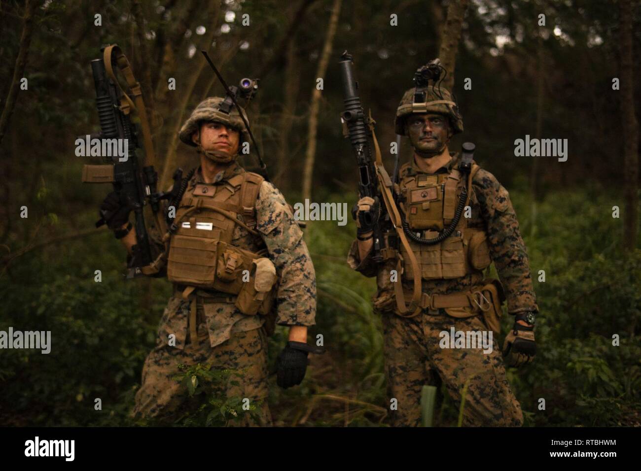 Stati Uniti Marines con la fanteria avanzato corso marino (AIMC) preparare per impostare un agguato posizione durante un campo esercizio di valutazione al Marine Corps Area Formazione soffietto, Febbraio 7, 2019. AIMC è intermedia fra la formazione progettata per migliorare e testare il Marine delle competenze e delle abilità di leadership come leader della squadra in un plotone di fucile. Foto Stock