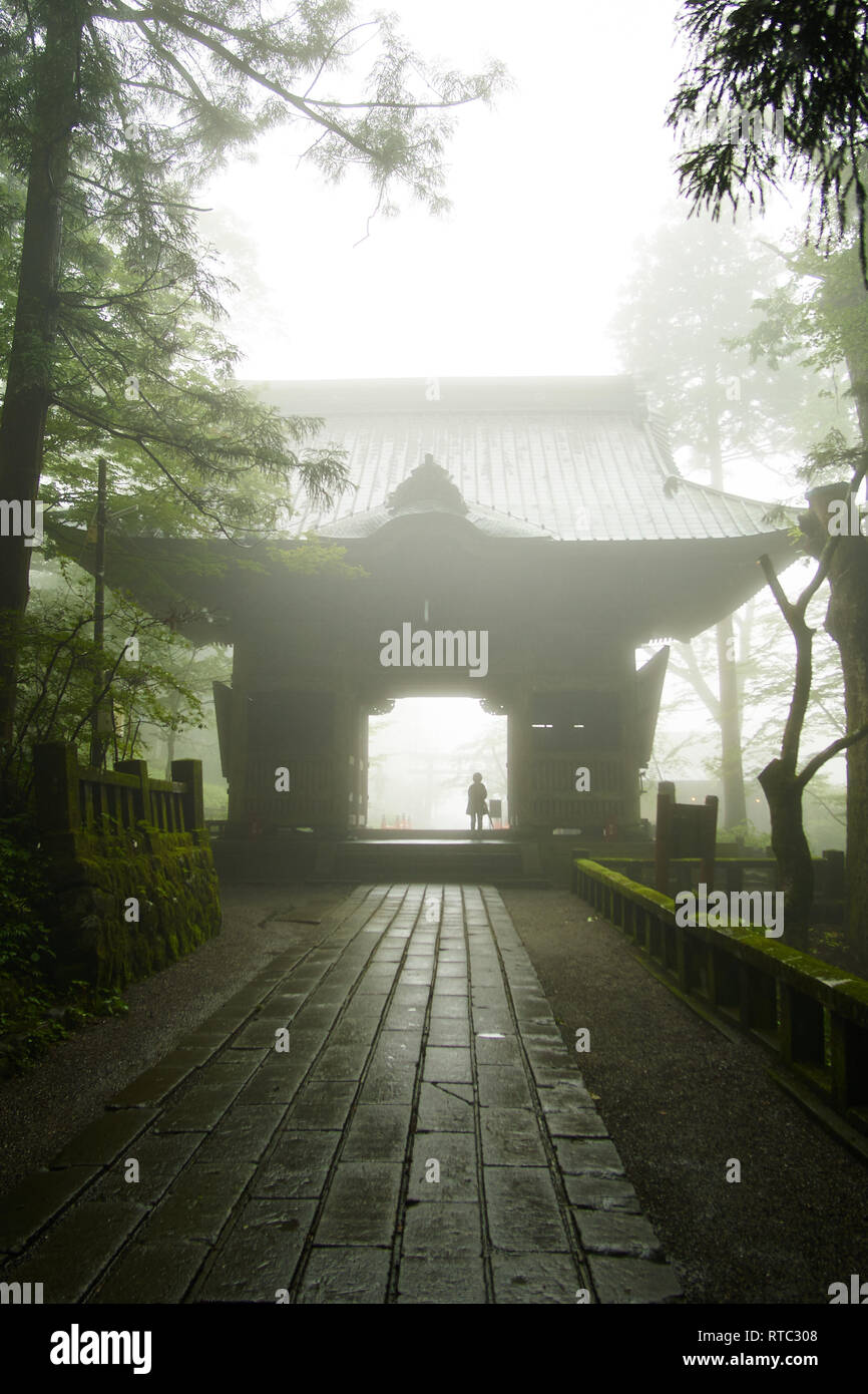 Una donna sta sotto un grande cancello circondata da una fitta nebbia all'entrata di Haruna nel santuario, Takasaki GUNMA, Giappone. Foto Stock