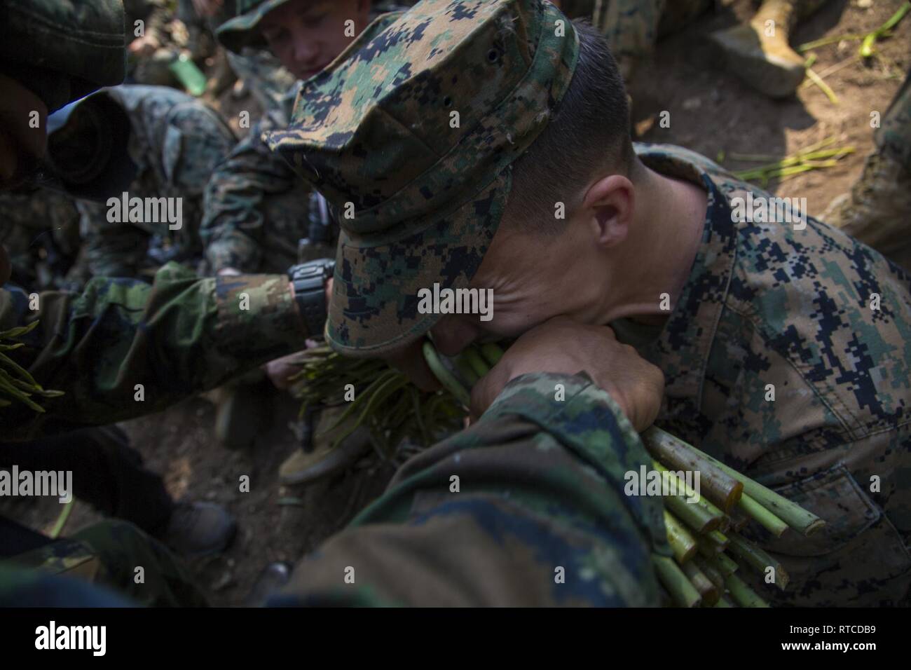 Stati Uniti Lancia Marine Cpl. Austin Gassaway mangia una pianta durante la giungla di formazione di sopravvivenza come parte del Cobra Gold 19 in corrispondenza di Ban Chan Krem, Regno di Thailandia, 14 febbraio, 2019. Cobra Gold dimostra l'impegno del Regno di Tailandia e gli Stati Uniti alla nostra lunga alleanza, promuove partenariati regionali e avanza la sicurezza e la cooperazione nella regione Indo-Pacifico. Gassaway, nativo di Taylorsville, Indiana, è un anti-serbatoio missileman con Battaglione Team di atterraggio, 1° Battaglione, 4 Marines. Foto Stock