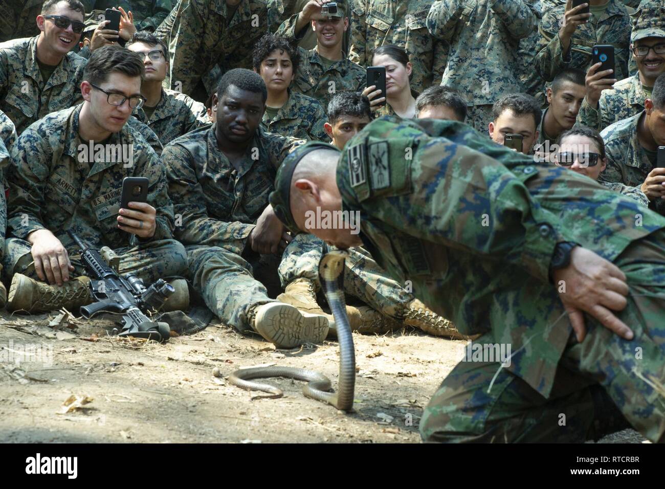 Un Royal Thai Marine baci la testa di un cobra monocled durante il jungle survival training, Esercizio Cobra Gold 19, Camp Ban Chan Khrem, Khao Khitchakut distretto, Thailandia, Feb 15, 2019. Esercizio Cobra Gold dimostra l'impegno del Regno di Tailandia e gli Stati Uniti alla nostra lunga alleanza, promuove partenariati regionali e avanza la sicurezza e la cooperazione nella regione Indo-Pacifico. Il trentunesimo Marine Expeditionary Unit, Marine Corps' solo in modo continuo distribuita MEU, fornisce una soluzione flessibile e forza letale pronto per eseguire una vasta gamma di operazioni militari come il pre Foto Stock