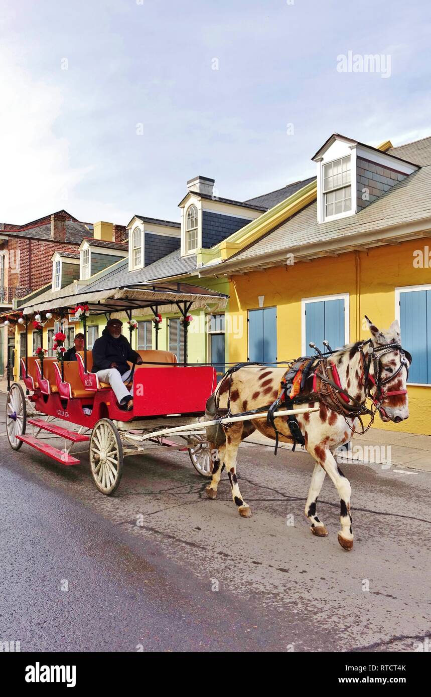 NEW ORLEANS, LA -26 GENNAIO 2019- vista di un tradizionale carrozza trainata da cavalli nel Quartiere Francese di New Orleans, in Louisiana. Foto Stock
