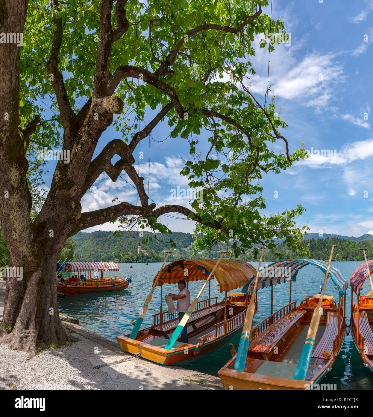 Pletna barche, round-trip imbarcazioni a remi sul lago di Bled Bled, Slovenia Slovenia.Caption locale *** paesaggio, acqua, alberi, estate, Montagne, Lago Foto Stock