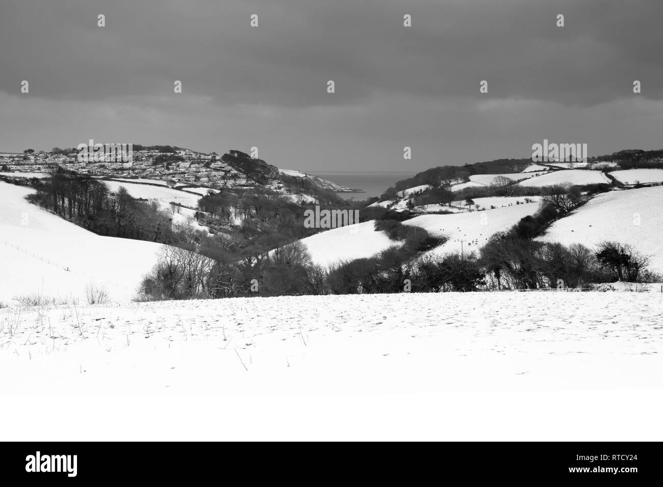 Una scena nevoso guardando oltre alle sabbie del Nord dopo la bestia da est ha colpito il sud del Devon. Salcombe è stato poi colpito dalla tempesta Emma. Foto Stock